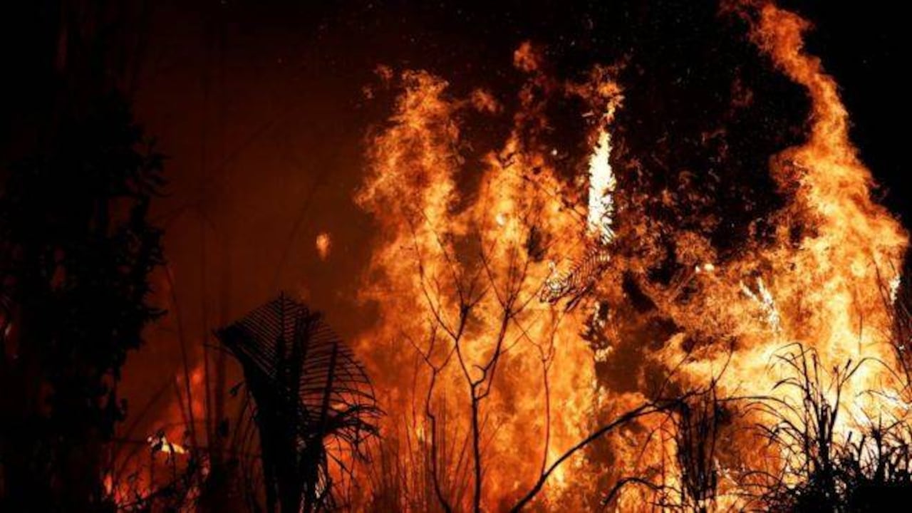 Los incendios en la Amazonía de estas últimas semanas captaron la atención del mundo entero.