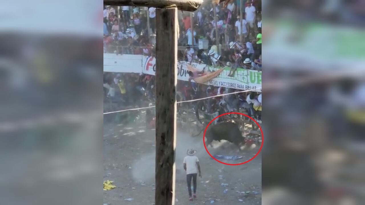El joven toreaba al animal con una improvisada muleta en medio de un gran número de personas que se encontraban en ese mismo momento en el ruedo