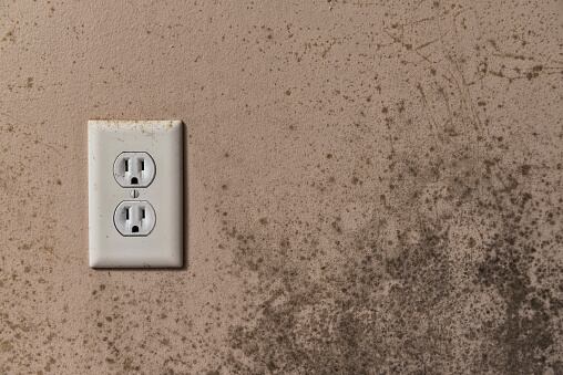 El agua oxigenada es una solución doméstica confiable para limpiar los enchufes.