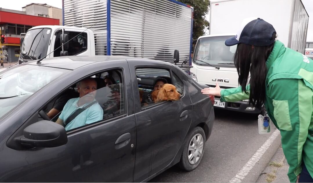 Varias personas viajan con sus mascotas para Semana Santa.