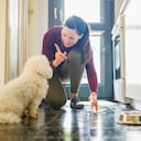 ¿Cómo evitar que los perros orinen en la puerta?