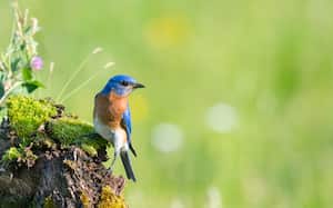 A través de YouTube, Instagram, Facebook y TikTok, Ciencia Tropical llega a más de 6 mil personas que siguen sus contenidos.