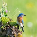 A través de YouTube, Instagram, Facebook y TikTok, Ciencia Tropical llega a más de 6 mil personas que siguen sus contenidos.