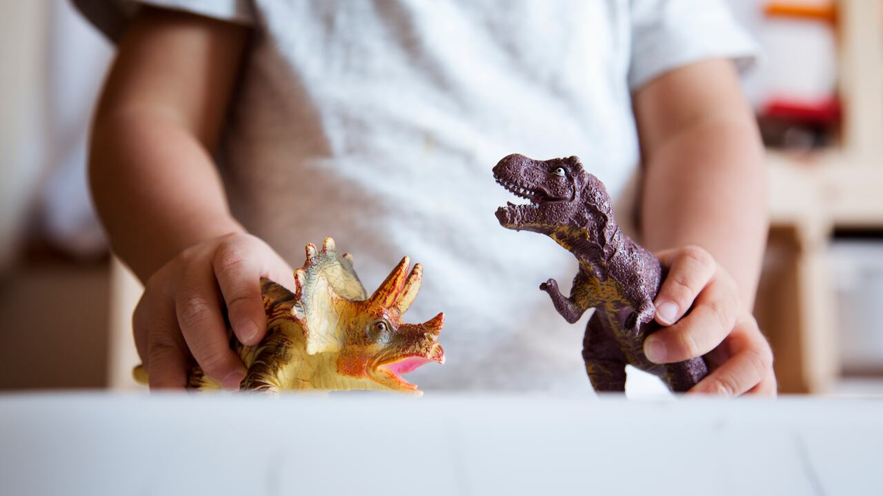 El menor fue trasladado a un centro médico, pero tiempo después falleció.