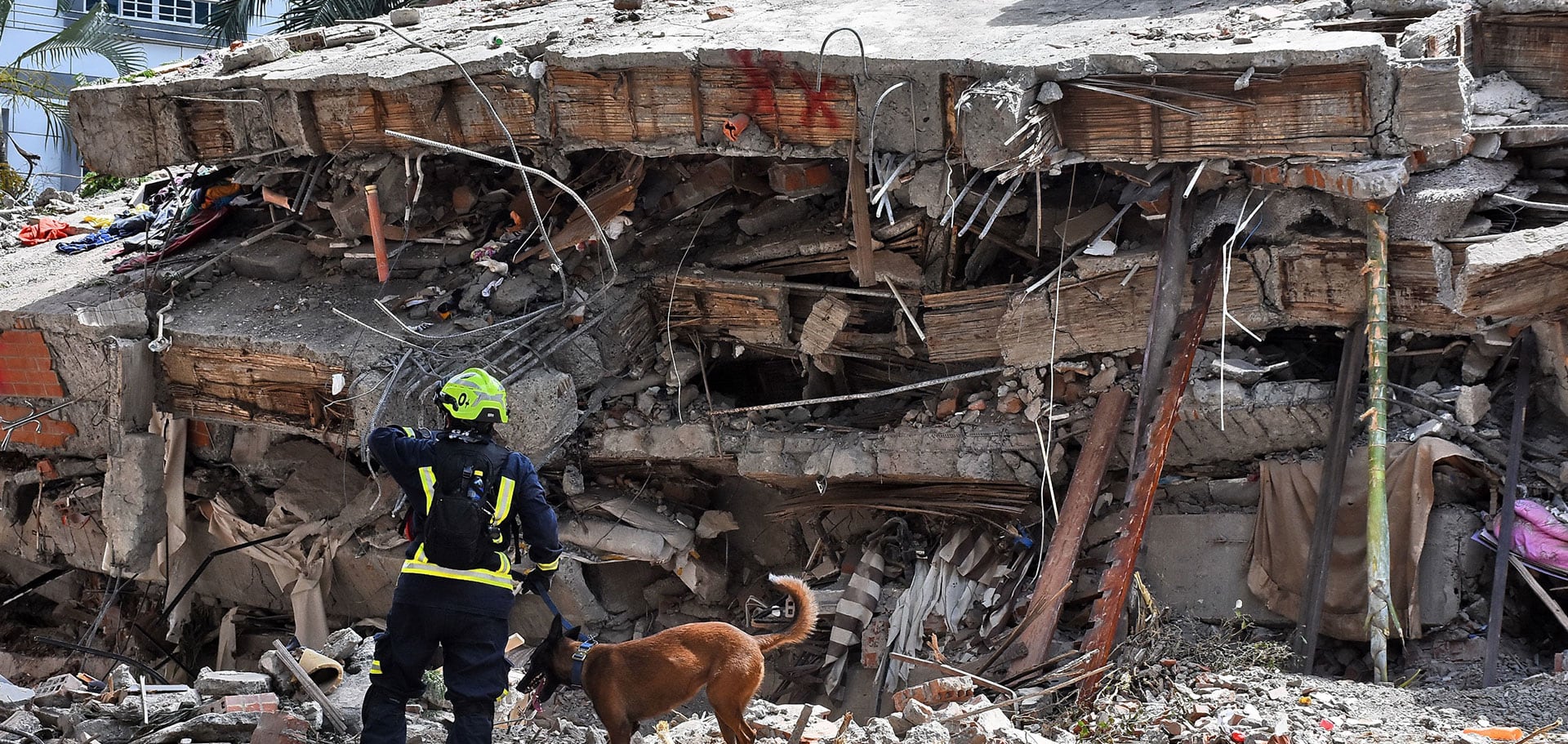 Después del terremoto de magnitud 7.4, el día lunes 10 de Agosto de 2026 y que sacudió a la ciudad de Cali, se inició la búsqueda de sobrevivientes del edificio colapsado Casa Médica Veno-Estil i.