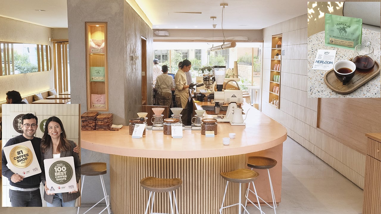 Paola Laguna y José Alberto Rosero fundaron Tropicalia Coffee en 2021 en plena pandemia. Juntos llevan más de 15 años en el mundo del café.