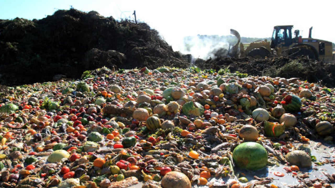 Entre 1.200 y 2.000 toneladas de comida se pierden por el camino, antes de llegar al estómago de uno de los 7.000 millones de humanos.