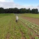La agricultura orgánica es una de las apuestas en las que debe trabajar el sector productivo a futuro.