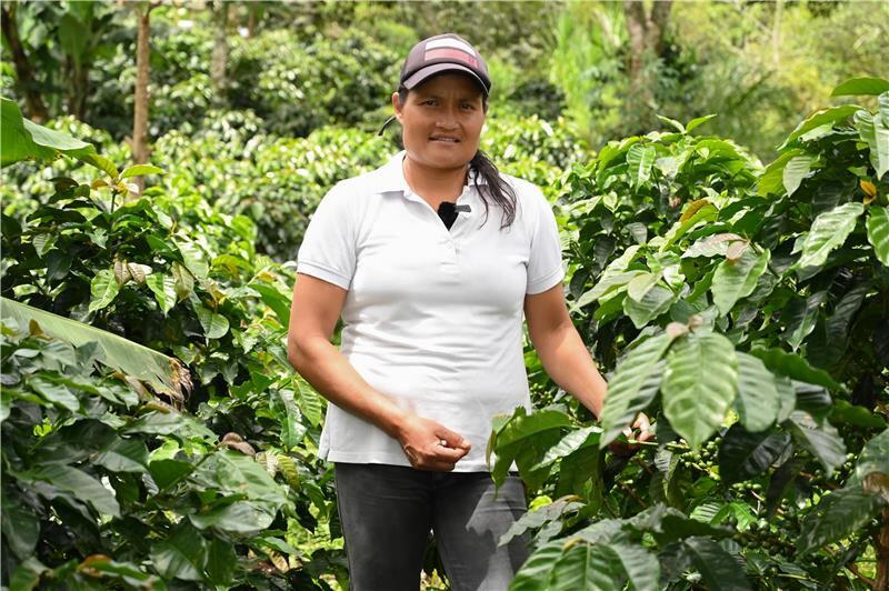 Cerca del 51 por ciento de los clientes de Banco Mundo Mujer son de estrato 1 y el 38 por ciento pertenecen al 2. Esta entidad facilita los créditos a personas de escasos recursos