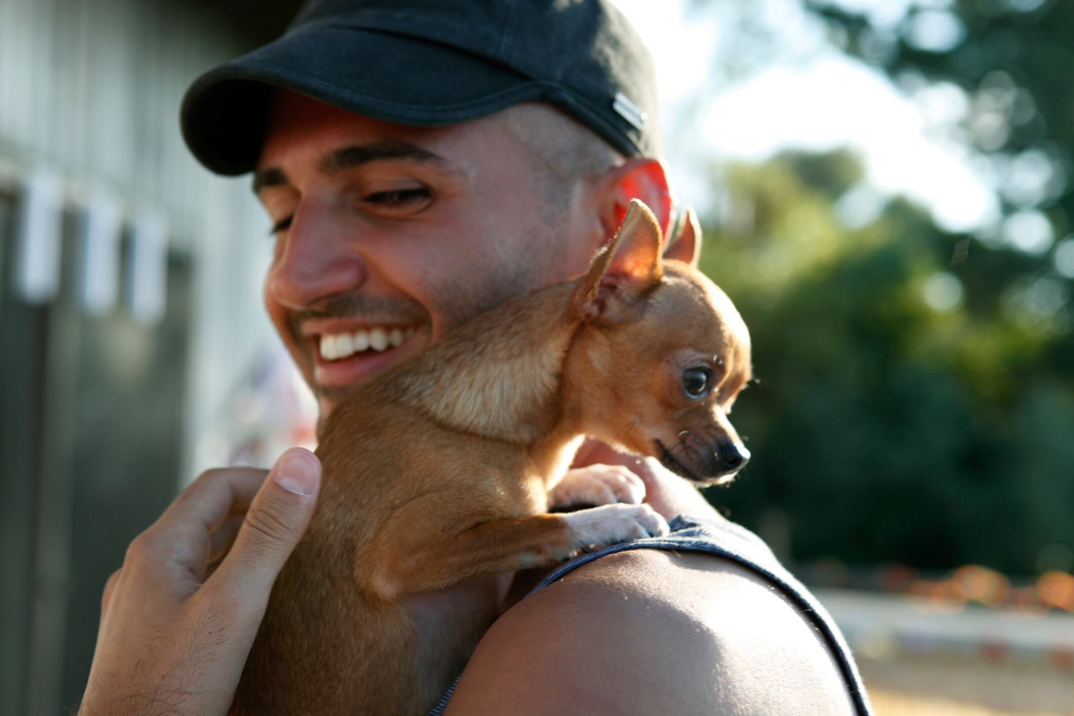 Perros mini