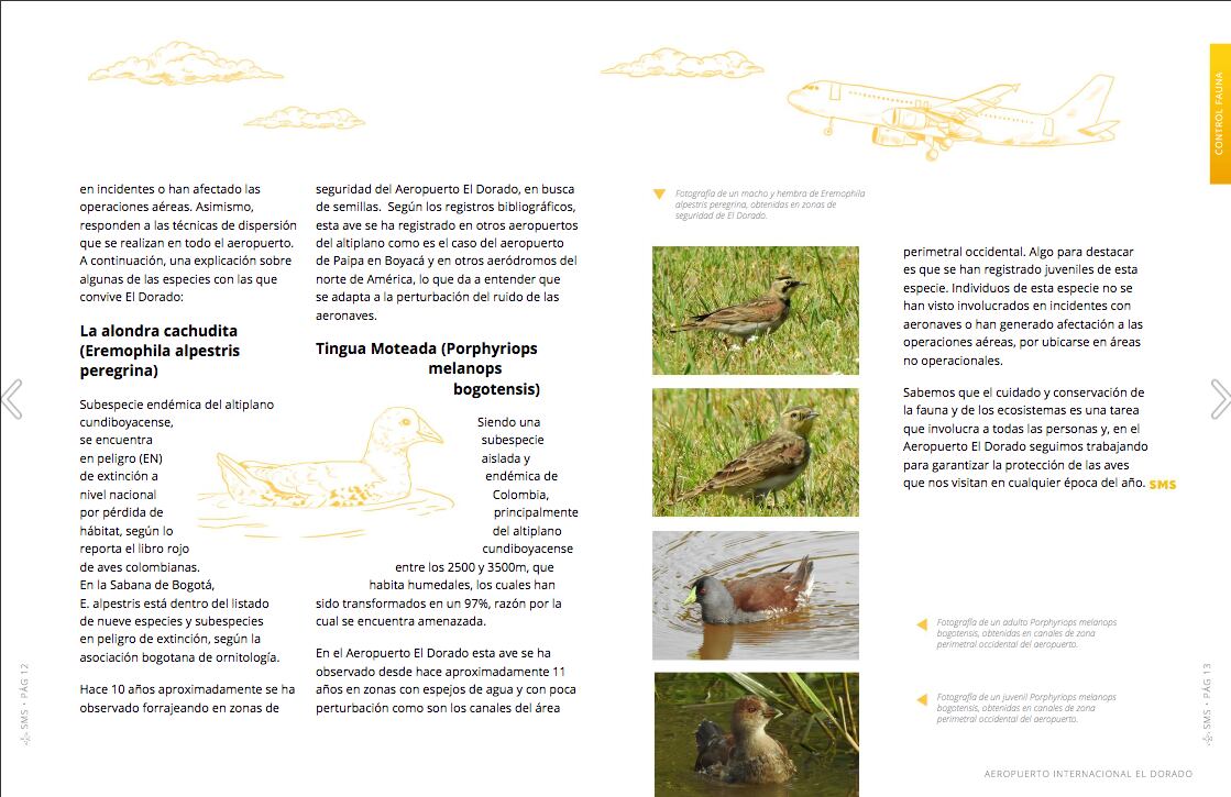 Leonardo Mendienta, coordinador de Control Fauna Opain, Sebastián Espitia, Líder del Equipo Control Operativo Fauna Aeropuerto El Dorado y Santiago Vargas, Inspector de control de fauna, desarrollaron el capítulo "Algunas Aves Importantes en el Aeropuerto" de la revista SMS 2020.