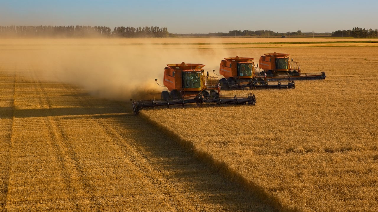 Además de subsidios de vivienda, incluye apoyos para adquirir maquinaria agrícola.
