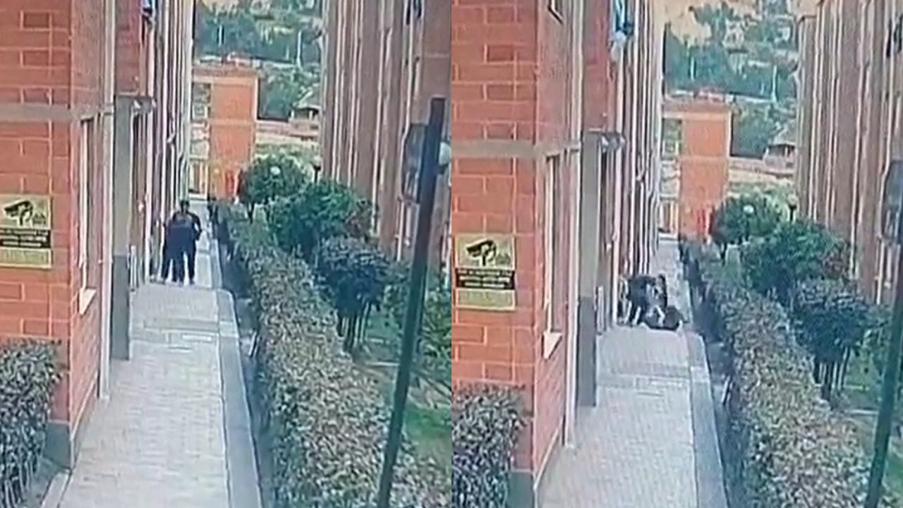 El hombre atacó a la mujer y le propinó 10 puñaladas con las que acabó con su vida.