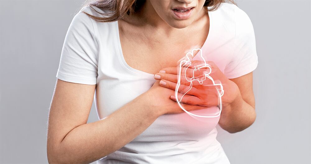 La sangre conduce el colesterol desde el intestino o el hígado hasta los órganos que lo necesitan 