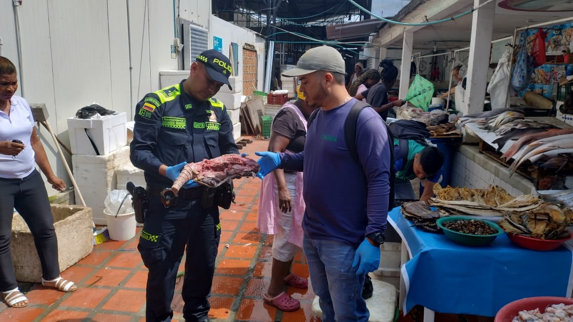 La Policía encontró abundante carne de armadillo.