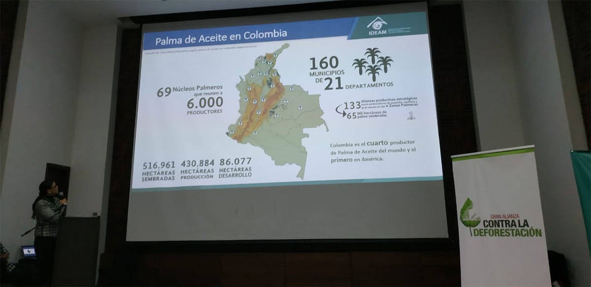 A la fecha, con el cubo de datos se han identificado más de 551.000 hectáreas de palma de aceite en el país, un resultado aún preliminar del estudio. Foto: archivo particular. 