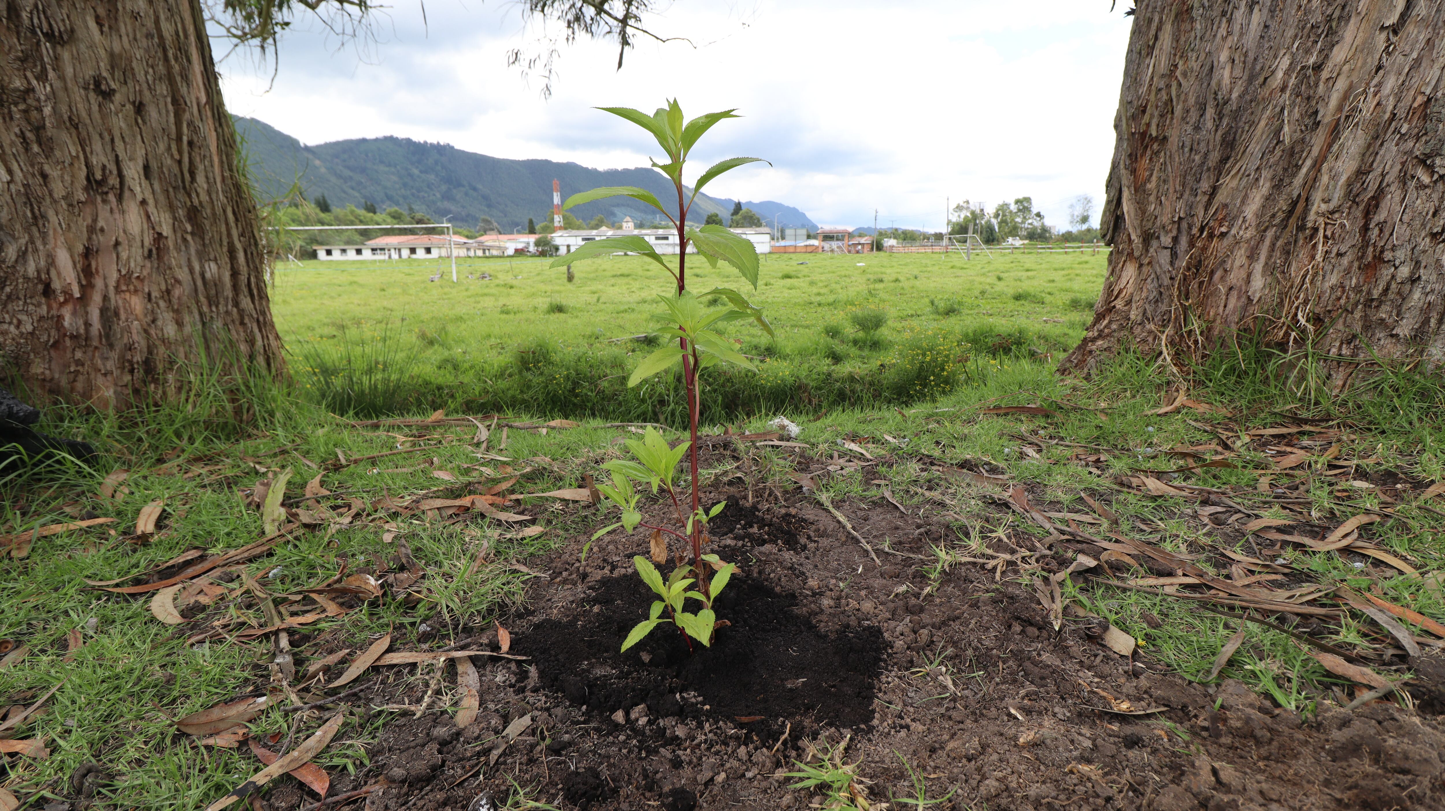 Fundación Parque Jaime Duque