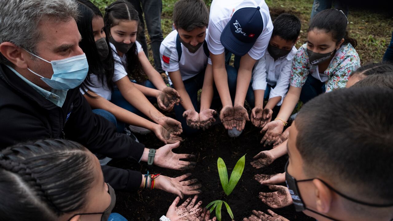 De los 54 millones de árboles sembrados hasta la fecha, el arrayán es el más común.