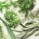 El laurel es una de las especias que sirve para cuidar la piel.