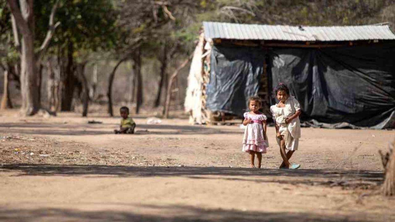Se cuentan por cientos los niños que no pudieron escapar de una muerte inexplicable en La Guajira. Más de 253 asociadas a desnutrición, 540 por infección respiratoria aguda y más de 103 por enfermedad diarreica, según la Alianza por la Niñez.