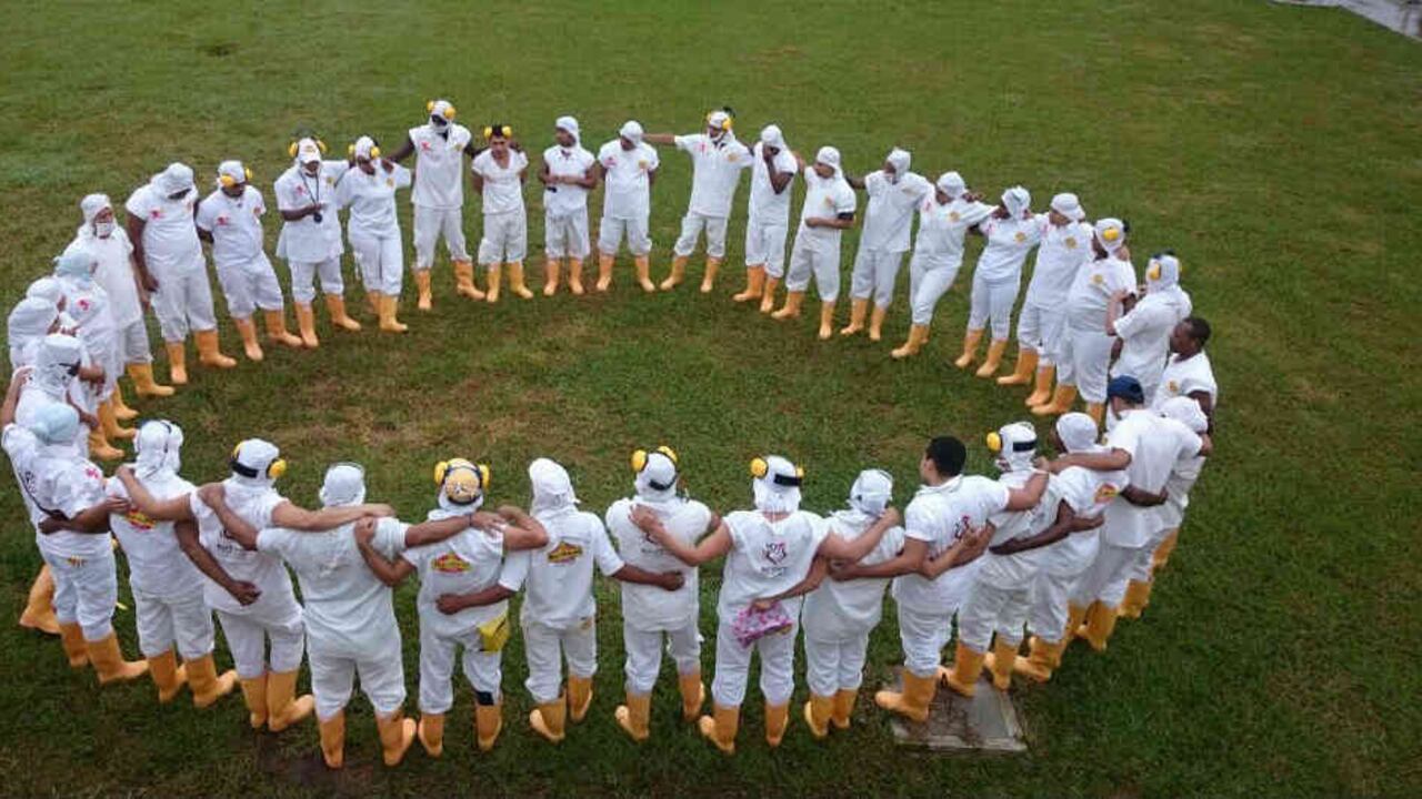 Pollos El Bucanero cuenta con 5.200 empleados