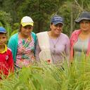 Mujeres que hacen parte de la Asociación de Mujeres Cimientos del Hogar (ASMUECH) ,que le apuesta a la producción de plantas aromáticas. Crédito: cortesía Juan Ángel Salazar Losada. Agencia Anadolu