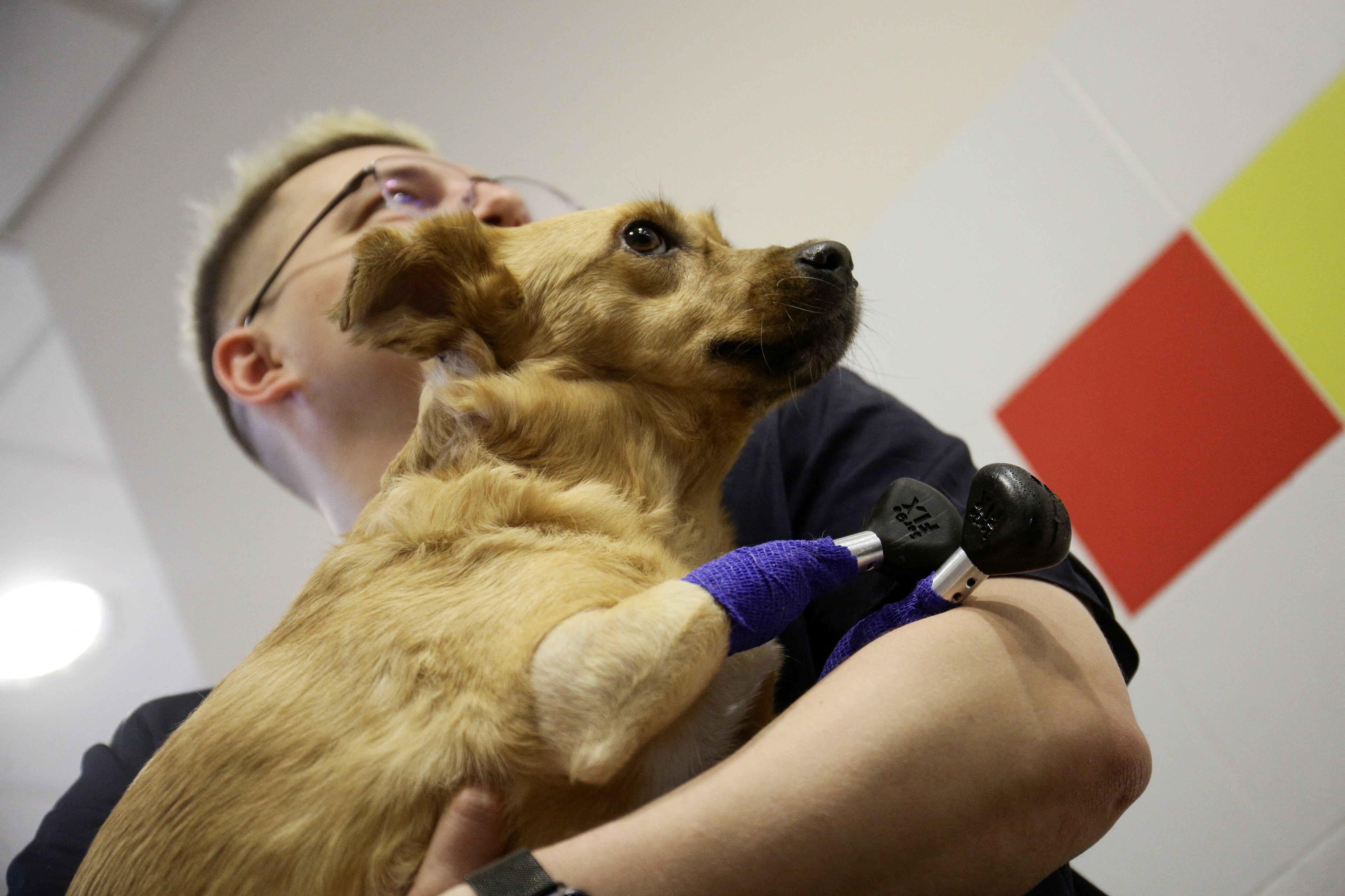 Aunque no es muy clara la razón por la cual perdió sus piernas, se dice que pudo haber sido un acto de crueldad