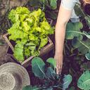 En el tema de alimentación son varios los desafíos para la industria y los consumidores.