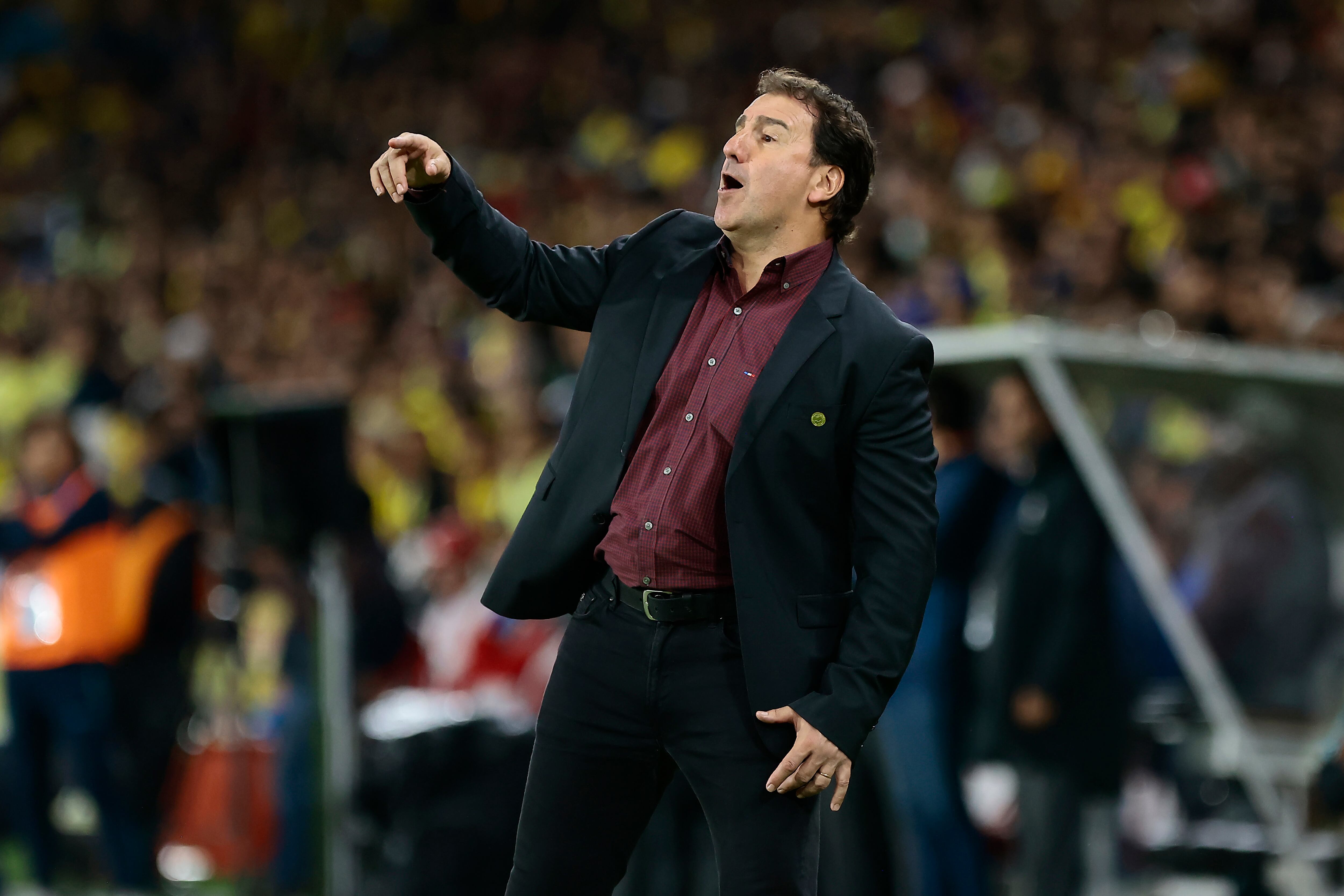 Néstor Lorenzo dando indicaciones en el partido ante Ecuador.