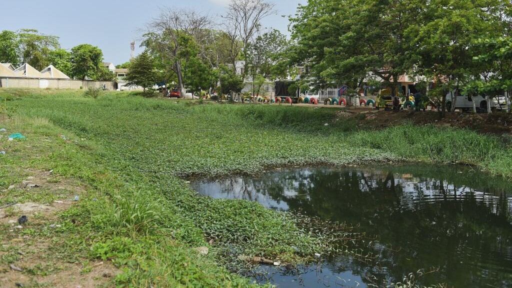 Canales en riesgo en Cartagena