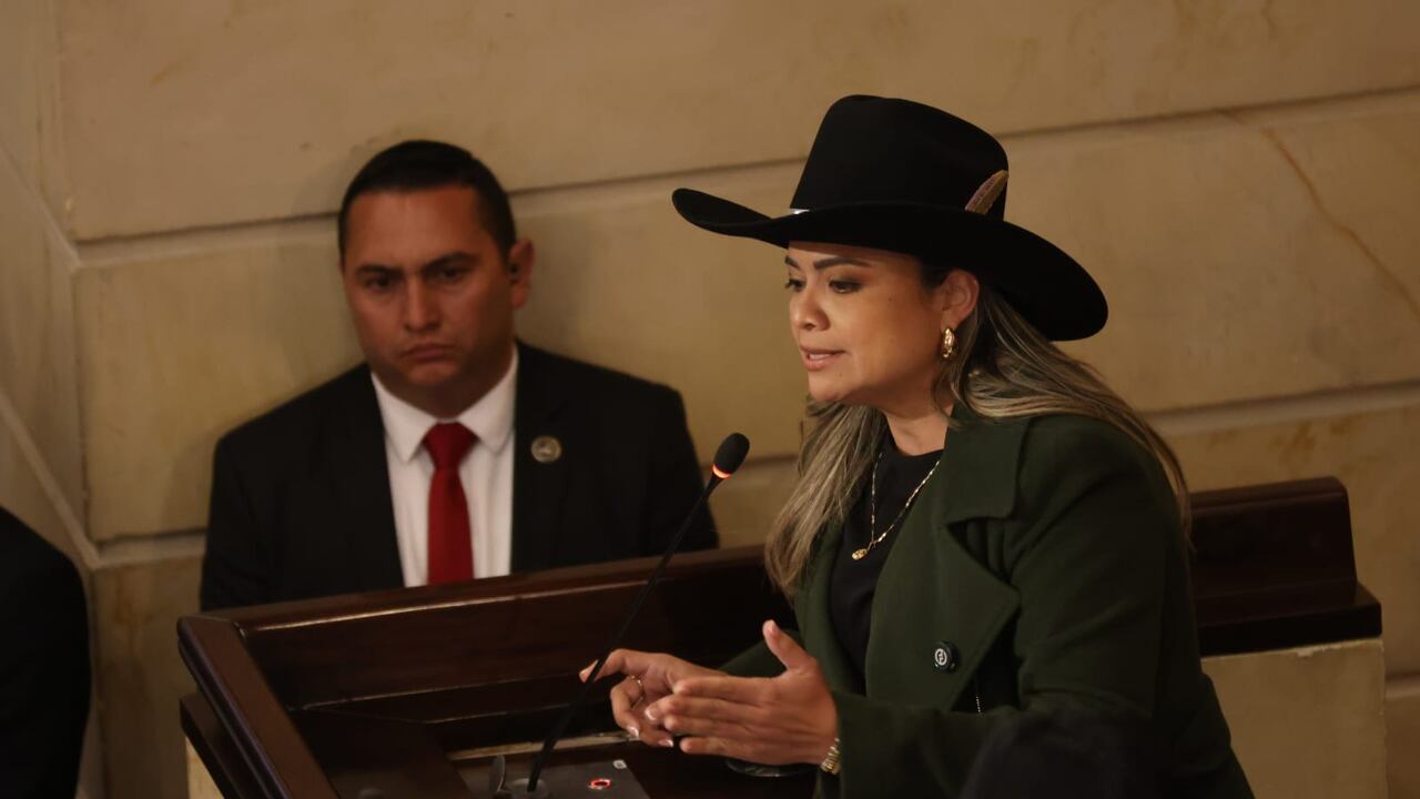 Representante a la cámara, Lina María Garrido.