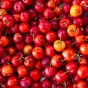 El fruto que combate el cansancio y fortalece el sistema inmune.