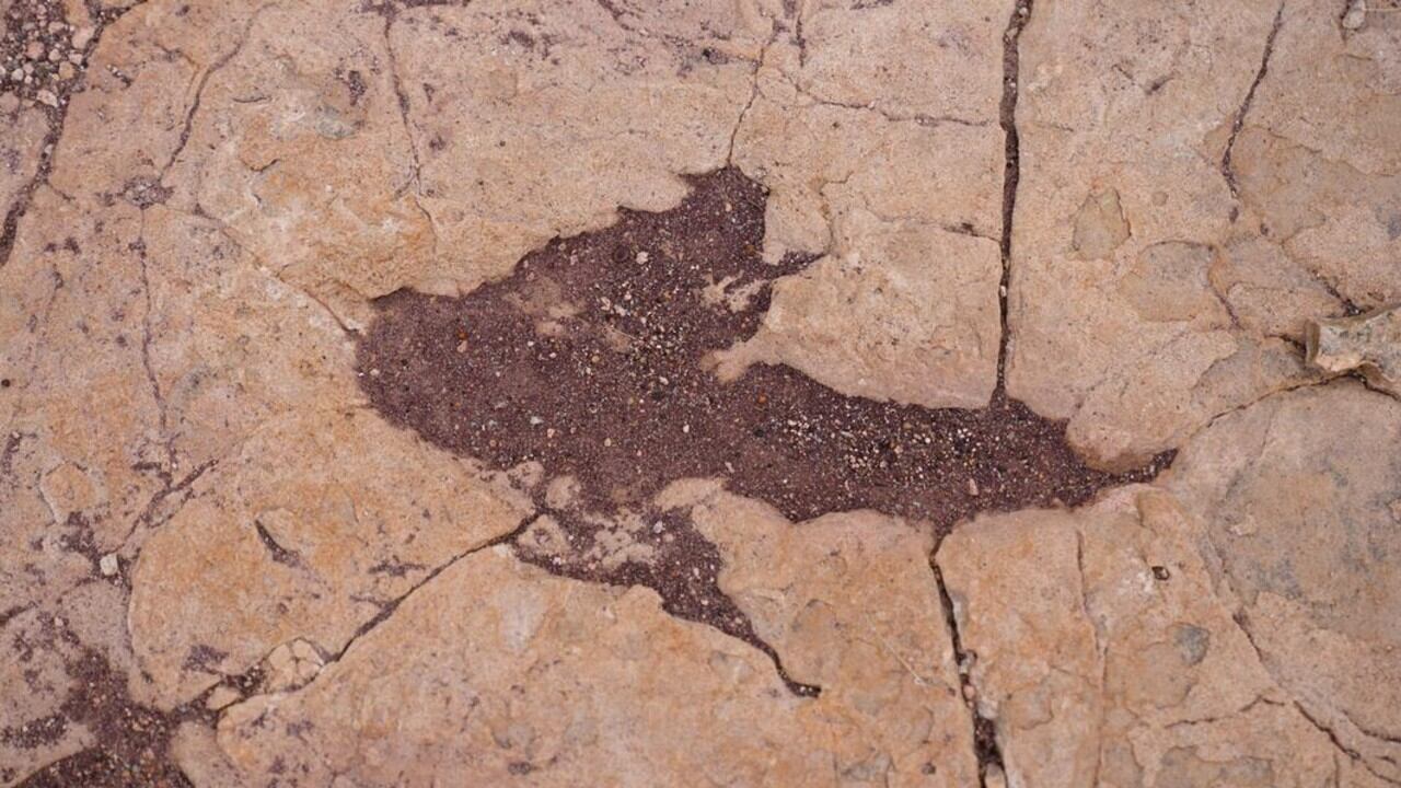 Huella petrificada de dinosaurio en Toro Toro, Bolivia, parte del mayor yacimiento de terópodos del mundo.