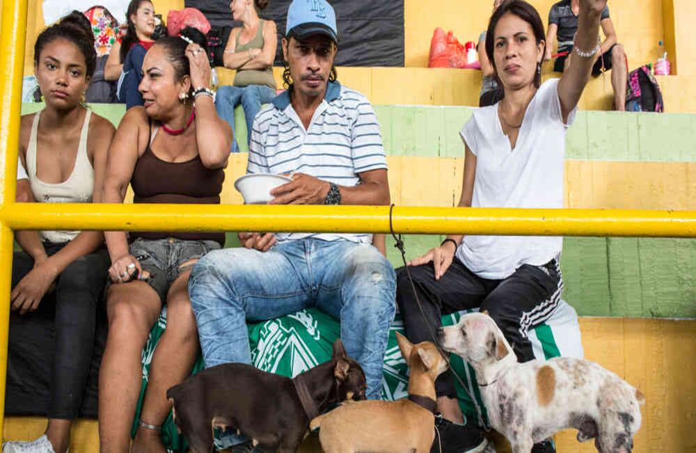 Foto: David Estrada Larrañeta