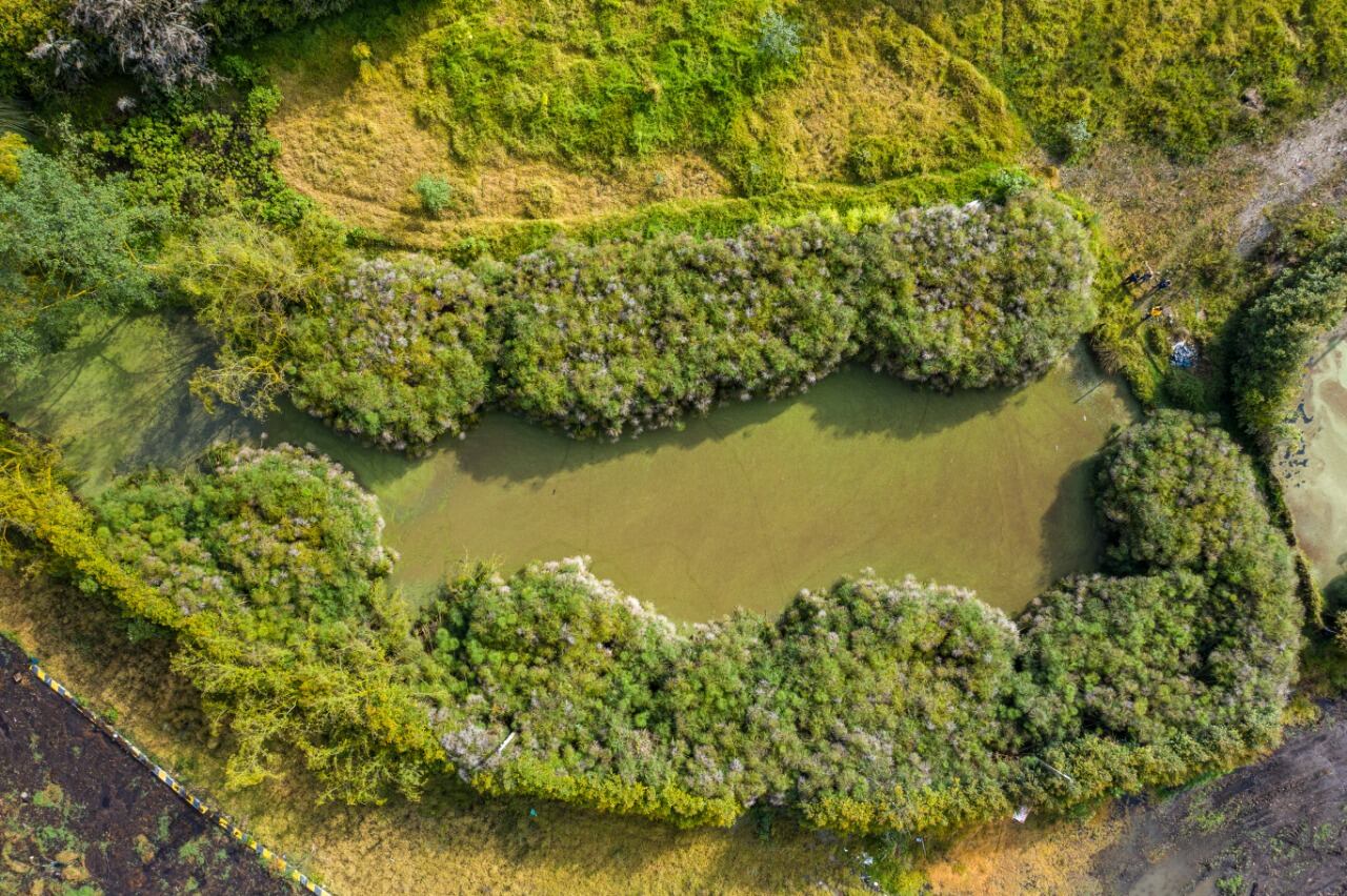 Humedal el conejito en la reserva de Van Der Hammen
