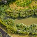 Humedal el conejito en la reserva de Van Der Hammen