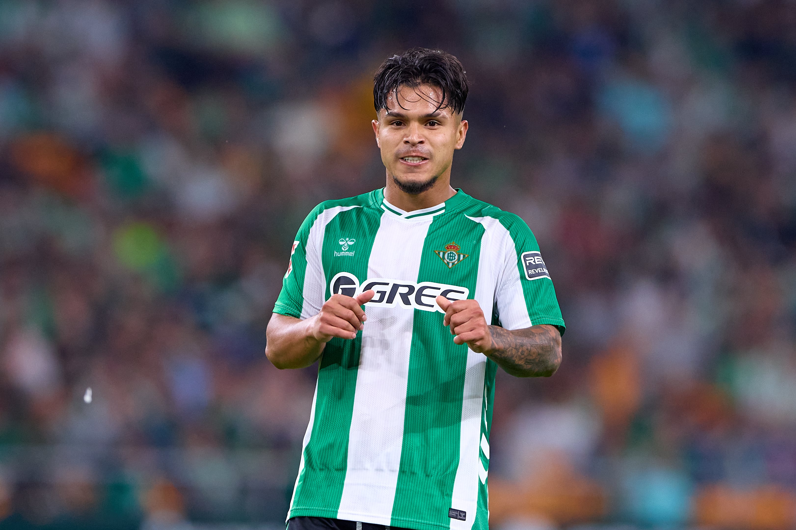 Juan Camilo Cucho Hernández no fue convocado a Selección Colombia.