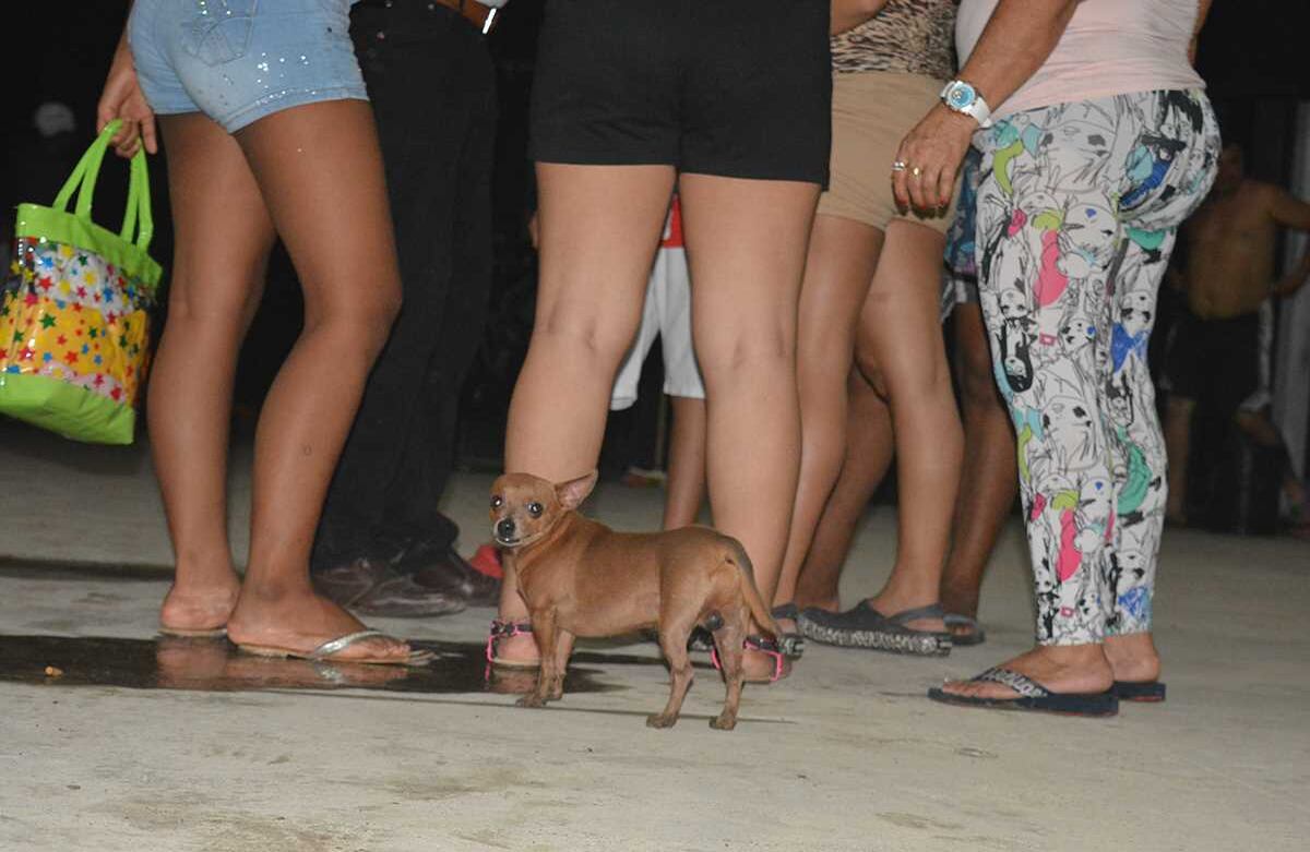 Enrique Mena / SEMANA 