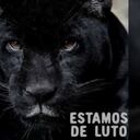 El Zoológico de Cali tenía a su cargo a Amelie desde hace 11 años.