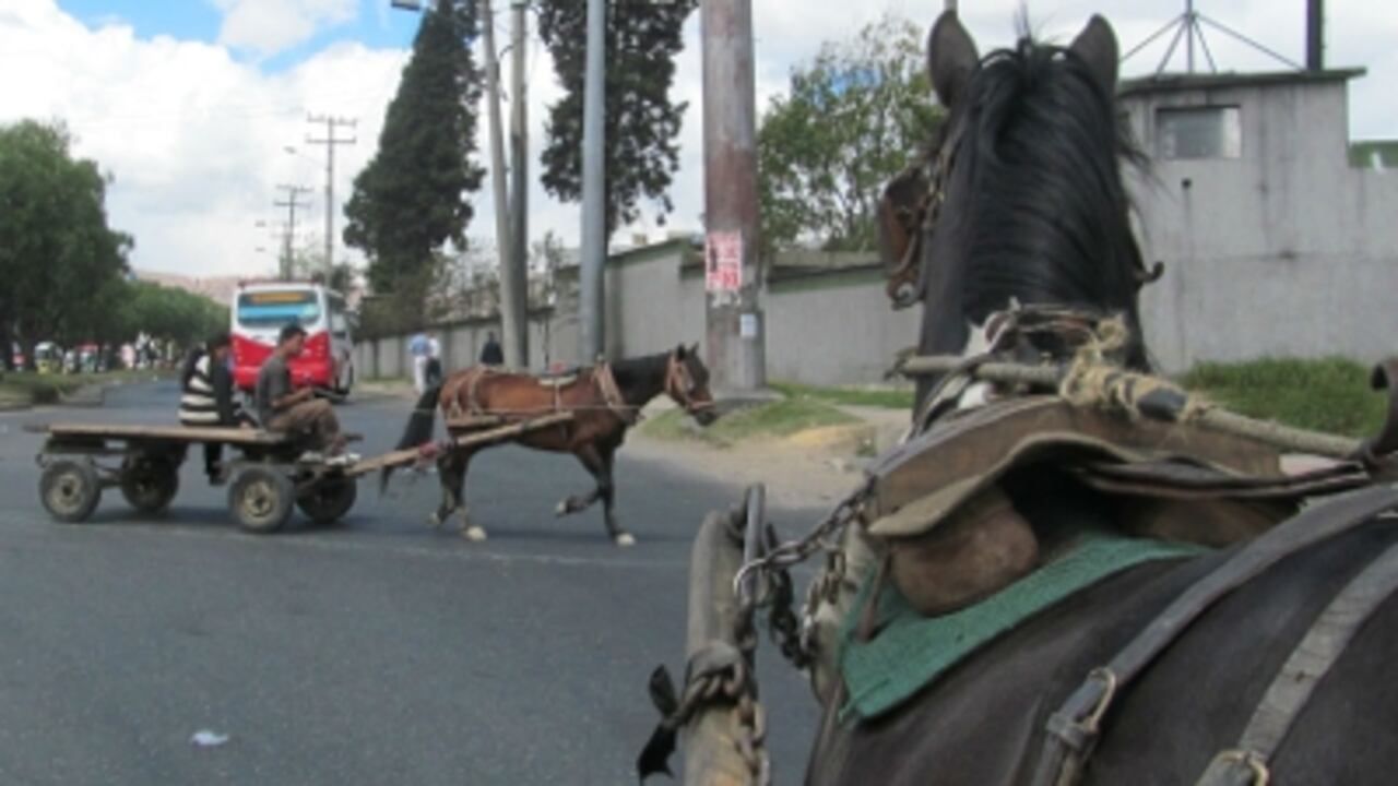 El 31 de enero se vence el plazo para que salgan las carretas de circulación.