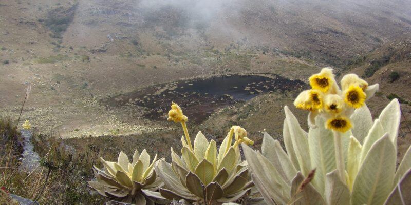 Parques Nacionales Naturales de Colombia estableció una mesa de gobernanza que convocó a 29 actores sociales de la región.