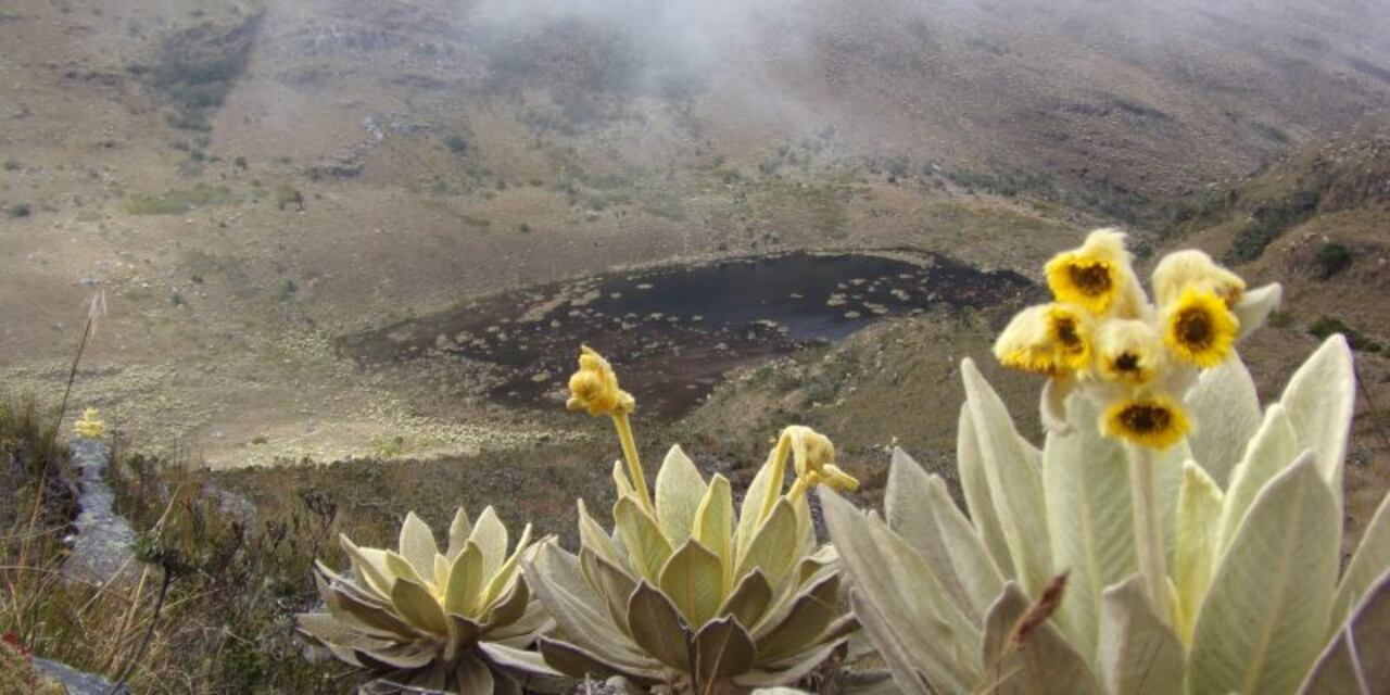 Parques Nacionales Naturales de Colombia estableció una mesa de gobernanza que convocó a 29 actores sociales de la región.