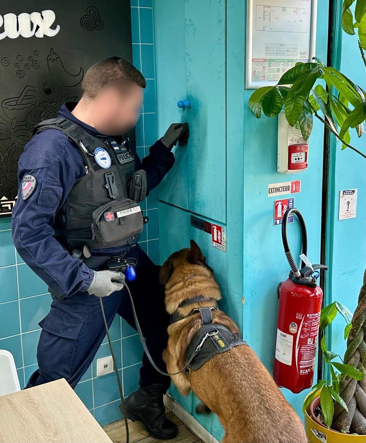 La policía ha incrementado su lucha para encontrar y judicializar a miembros de bandas criminales