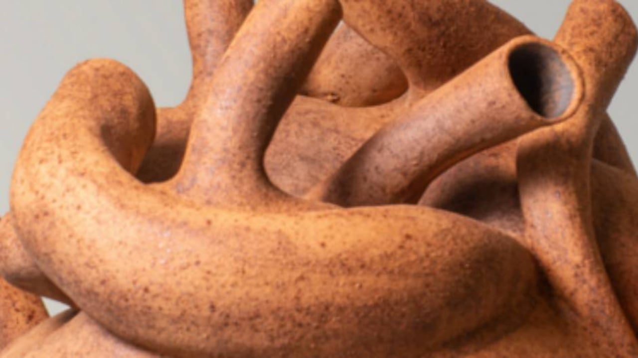 ‘Viaje al corazón de la arcilla’ la obra que presentará la ceramista Dalita Navarro en Casa Latinoamericana