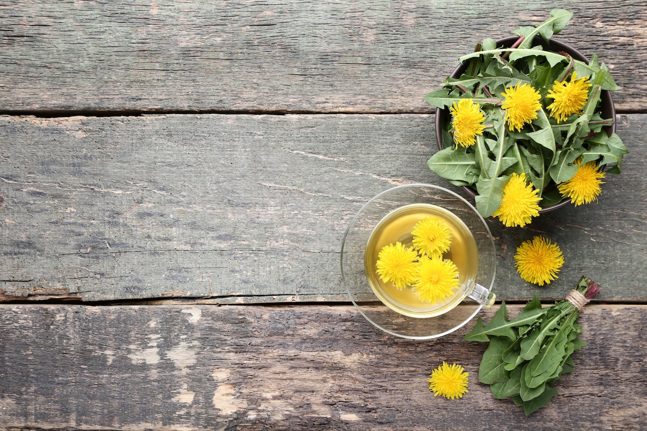 Esta planta por lo general se suele consumir a través de la preparación de una infusión.