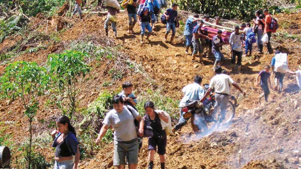 La comunidad indígena awá denuncia que los están masacrando.