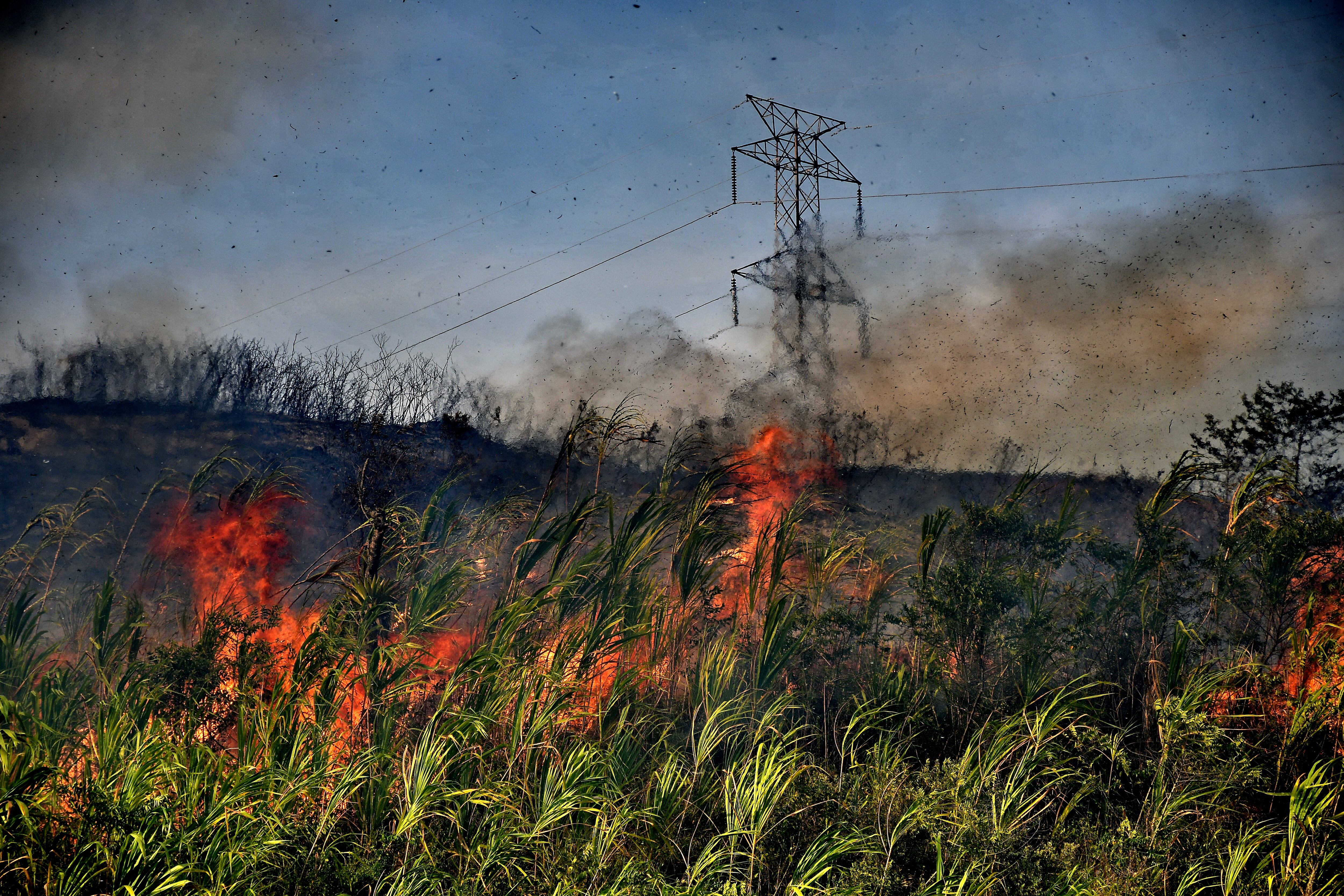 incendio forestal amenaza al jardín Botánico de Cali
