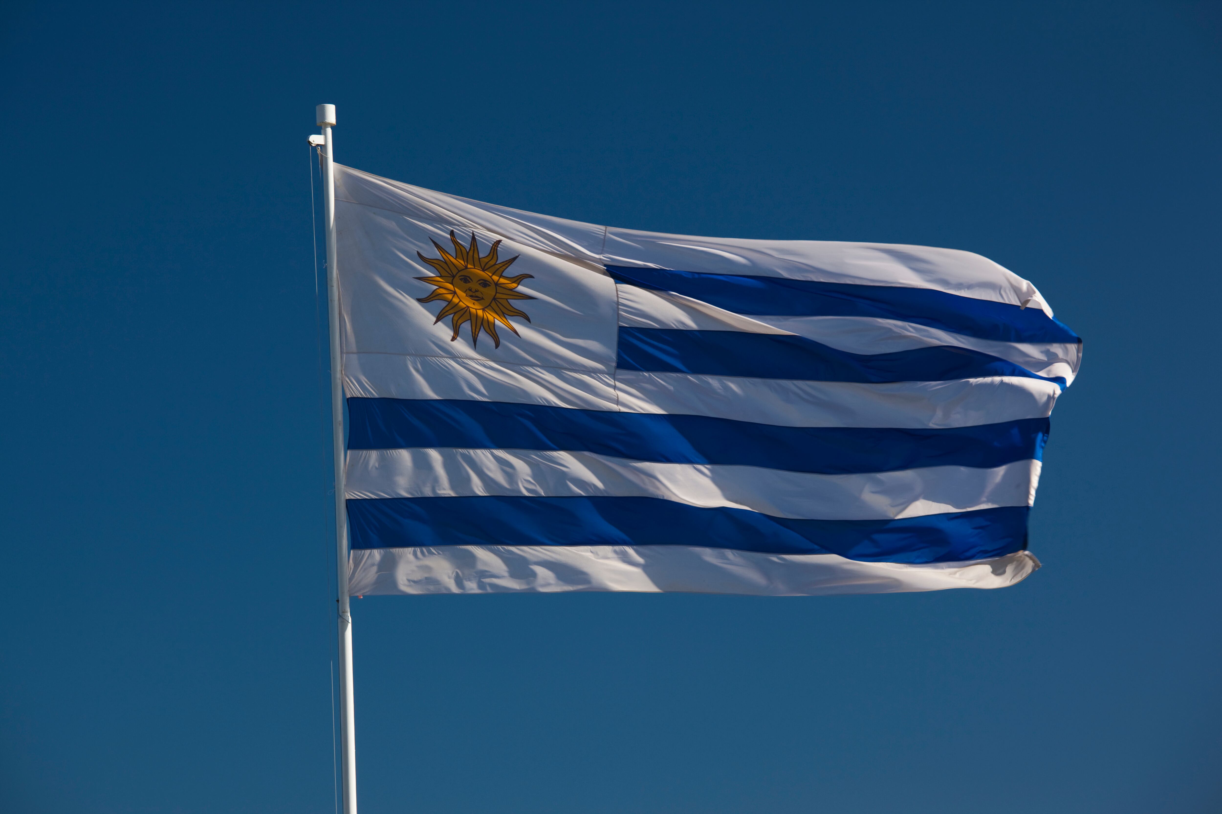 Bandera de Uruguay