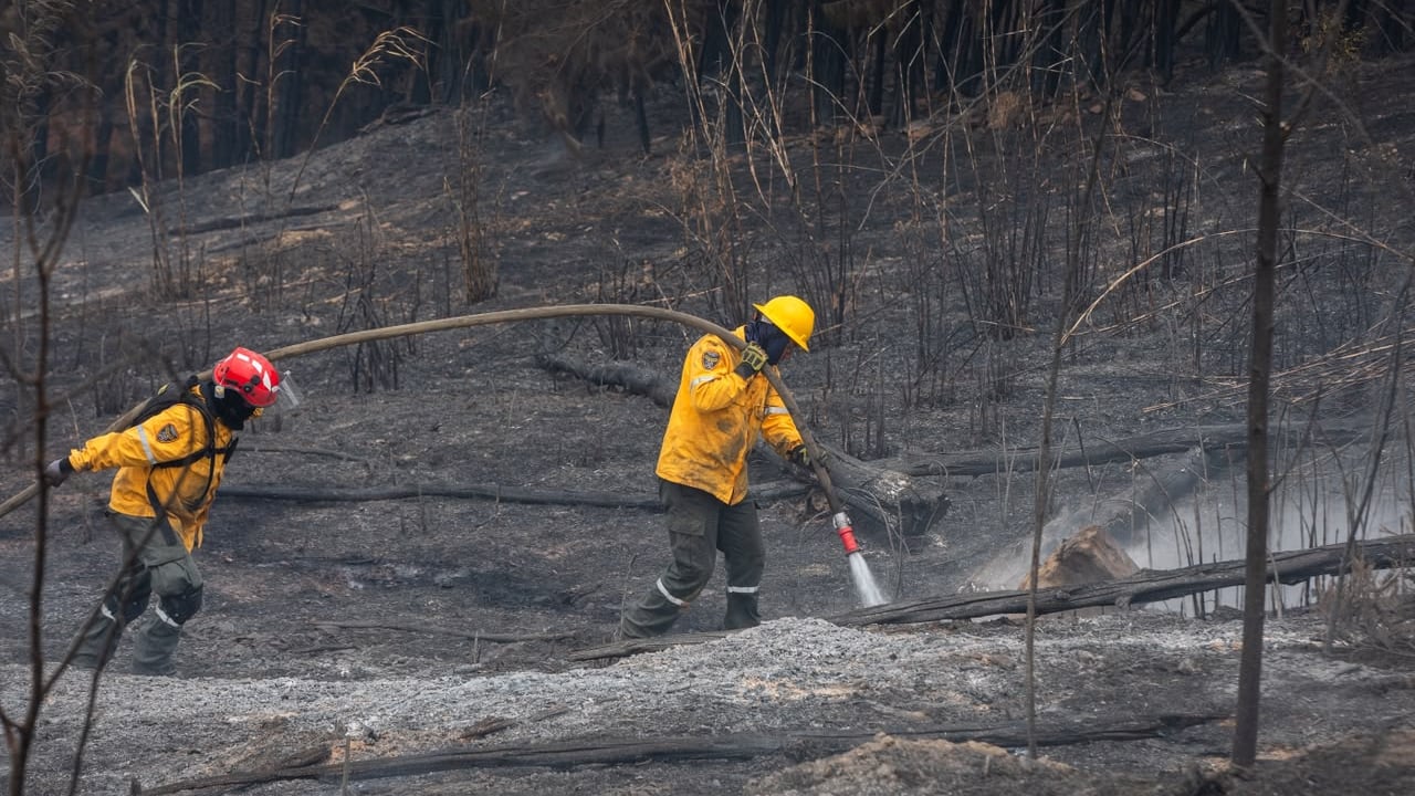 Tras casi una semana de operaciones, el incendio forestal en Villa de Leyva, Boyacá, alcanzó una liquidación del 98%. Las autoridades confirmaron que las llamas ya están prácticamente controladas.