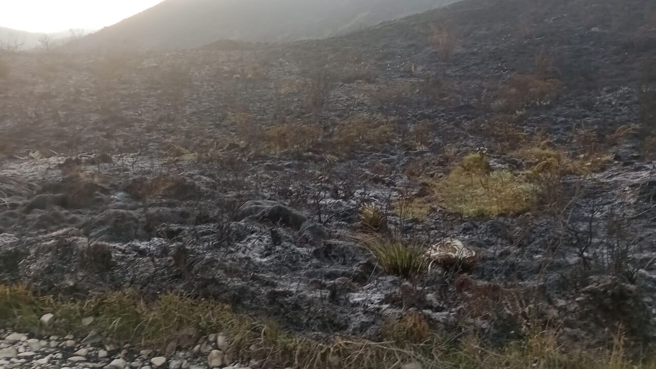 Incendio en Chingaza